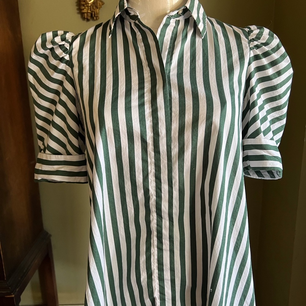 Zara women green striped dress